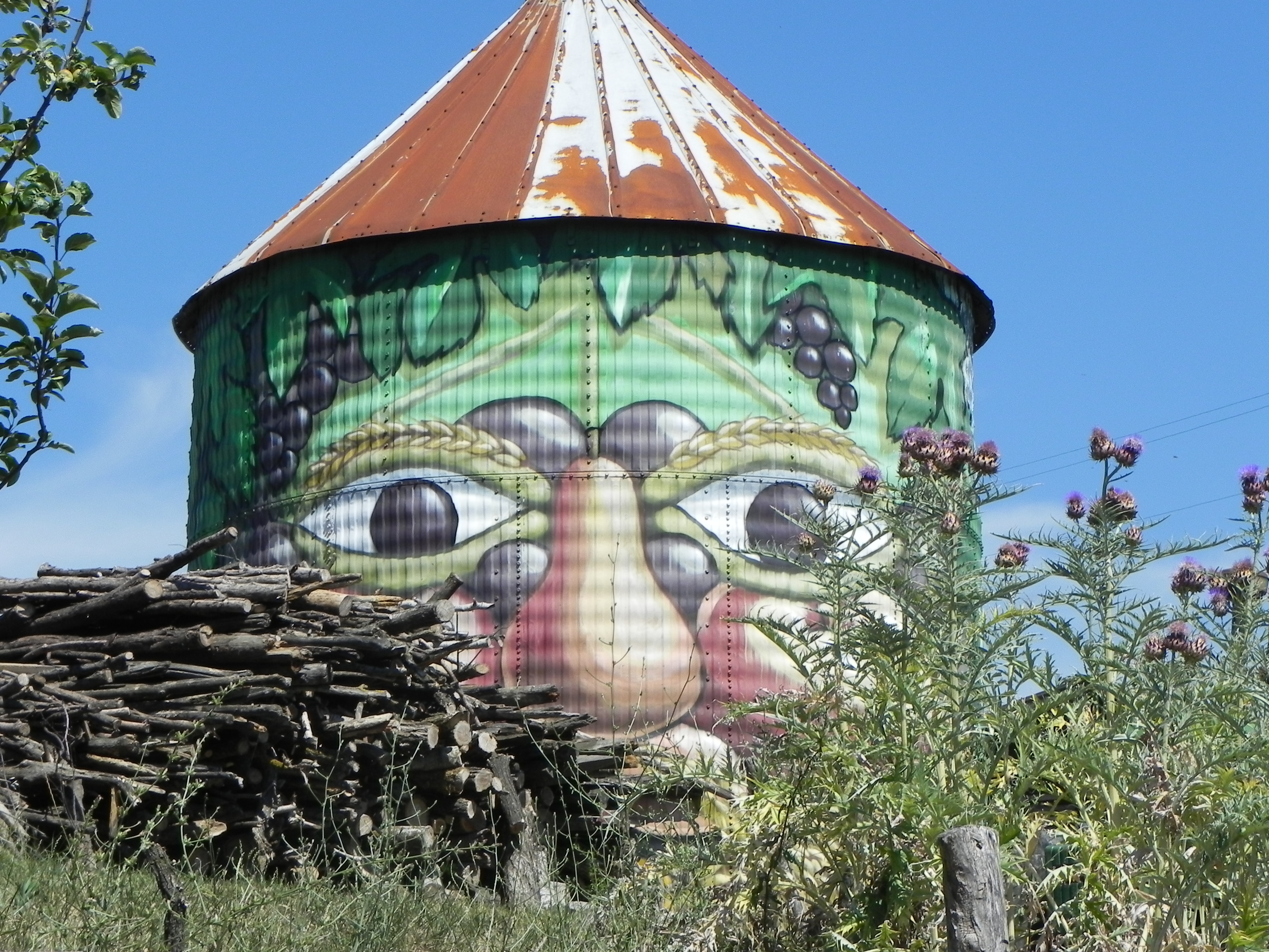 La Rinascita 2015 2